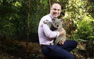 High koala-ity eucalypt leaves