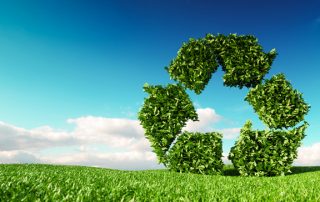 Dispose and recycle your green waste.