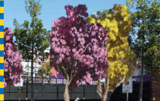 Valley Five Urban Upgrade
