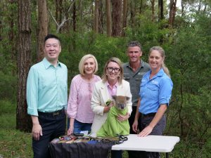 Koala capital of Australia