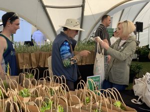 Sustainable BNE Festival